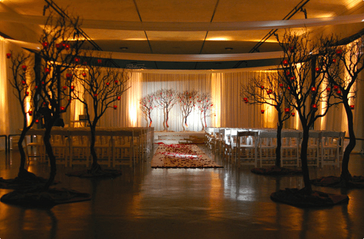 Stark black trees filled with the soft glow of orange lights give a modern feel. Image provided by The Finishing Touch Event Design