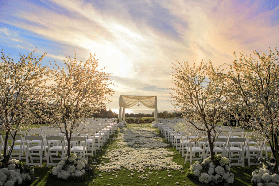 Fabulous blossoming trees set the stage for a glorious wedding Image provided by A Good Affair Event Design